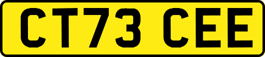 CT73CEE