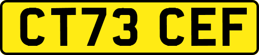 CT73CEF