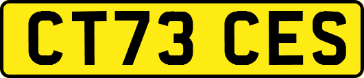 CT73CES