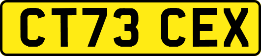 CT73CEX