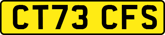 CT73CFS