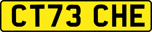 CT73CHE