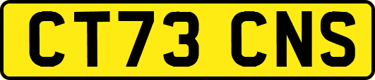 CT73CNS
