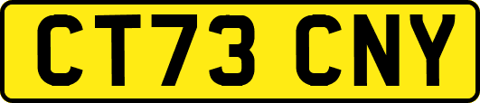 CT73CNY
