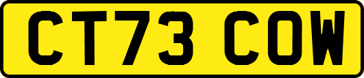 CT73COW