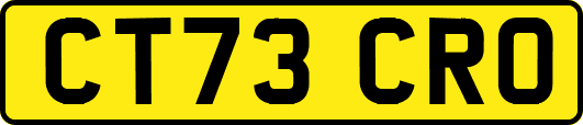 CT73CRO
