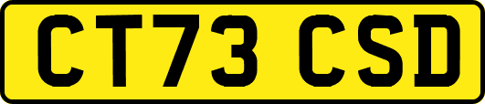 CT73CSD