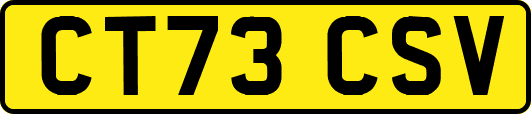 CT73CSV