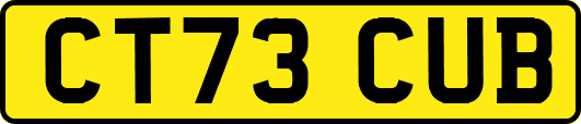 CT73CUB