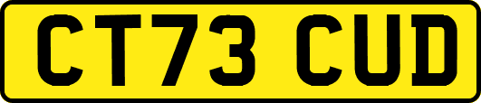 CT73CUD