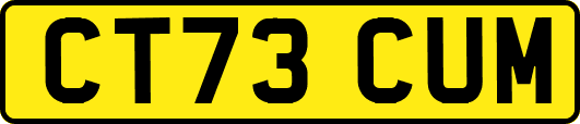 CT73CUM