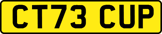 CT73CUP