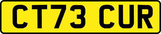 CT73CUR