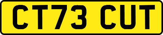 CT73CUT