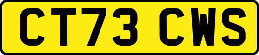 CT73CWS