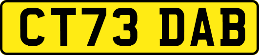 CT73DAB
