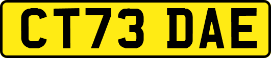 CT73DAE