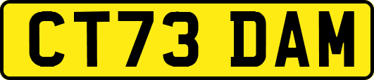 CT73DAM
