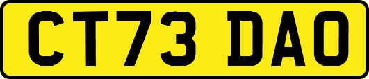 CT73DAO