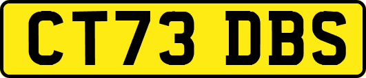 CT73DBS