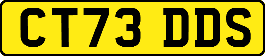 CT73DDS
