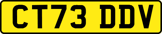 CT73DDV