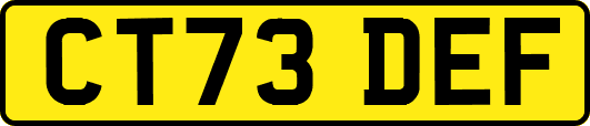 CT73DEF