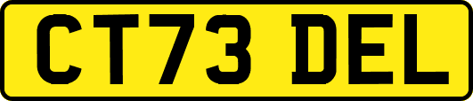 CT73DEL