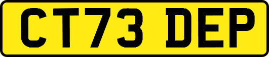CT73DEP