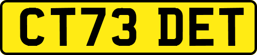CT73DET