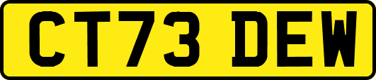CT73DEW