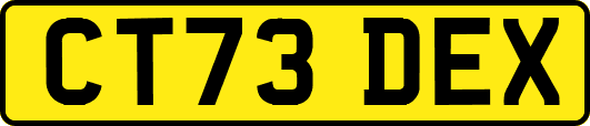 CT73DEX