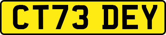 CT73DEY