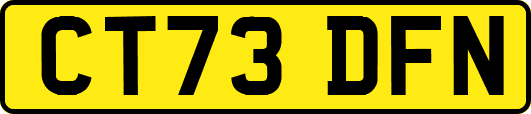 CT73DFN