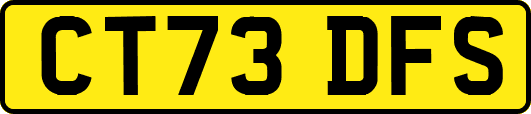 CT73DFS