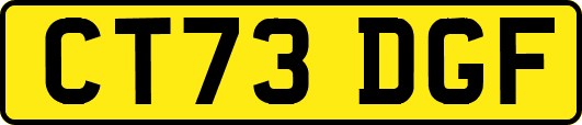 CT73DGF