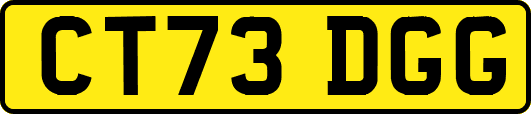 CT73DGG