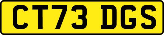 CT73DGS