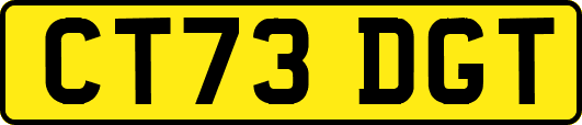 CT73DGT