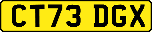 CT73DGX