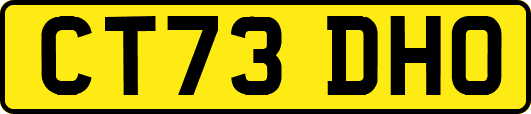 CT73DHO