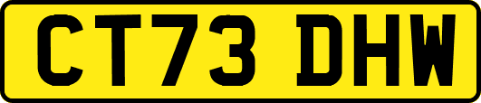 CT73DHW