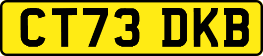 CT73DKB