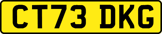 CT73DKG