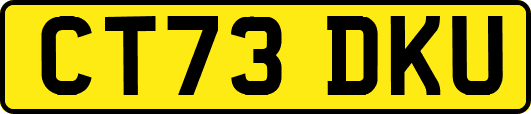 CT73DKU