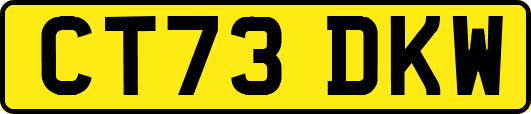 CT73DKW