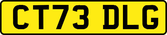 CT73DLG