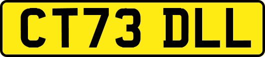 CT73DLL