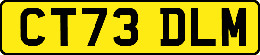 CT73DLM