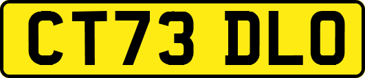 CT73DLO